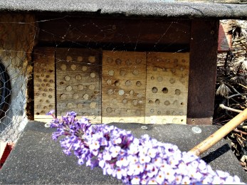 Bienen Nisthilfe